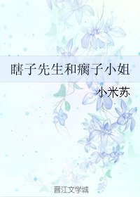 瞎子先生和瘸子小姐
